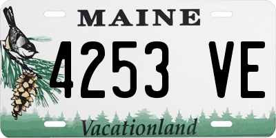 ME license plate 4253VE