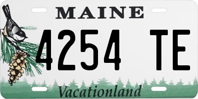 ME license plate 4254TE