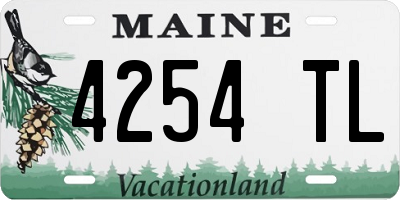 ME license plate 4254TL