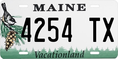 ME license plate 4254TX