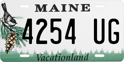 ME license plate 4254UG
