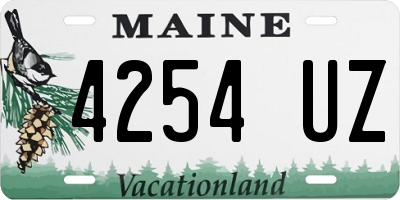 ME license plate 4254UZ