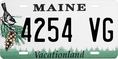 ME license plate 4254VG