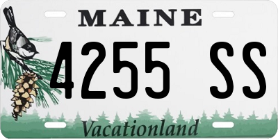 ME license plate 4255SS