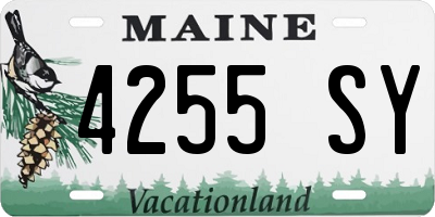 ME license plate 4255SY