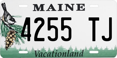ME license plate 4255TJ