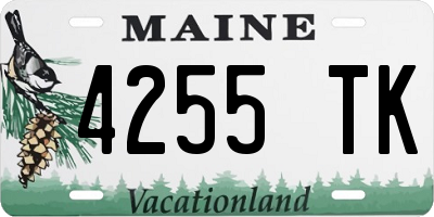 ME license plate 4255TK