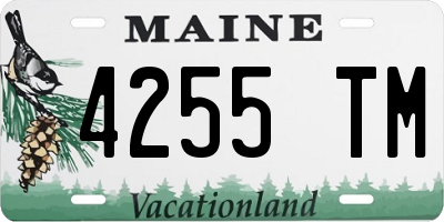 ME license plate 4255TM