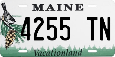 ME license plate 4255TN