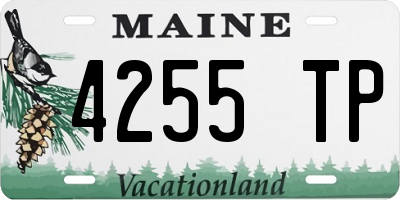 ME license plate 4255TP
