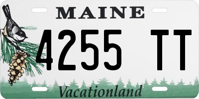 ME license plate 4255TT