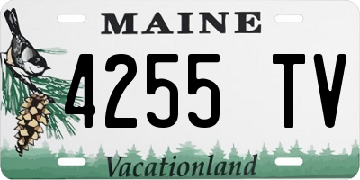 ME license plate 4255TV