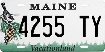ME license plate 4255TY