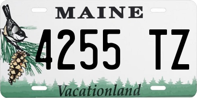 ME license plate 4255TZ