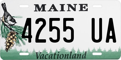 ME license plate 4255UA