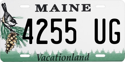 ME license plate 4255UG