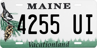 ME license plate 4255UI