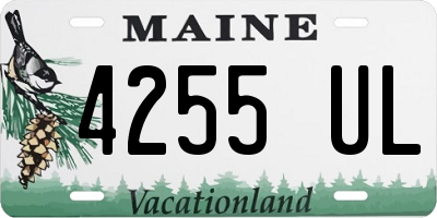 ME license plate 4255UL