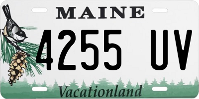 ME license plate 4255UV