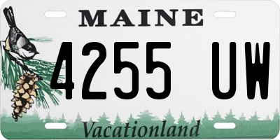 ME license plate 4255UW