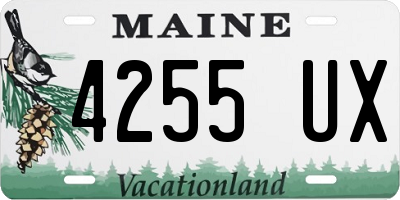 ME license plate 4255UX