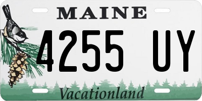 ME license plate 4255UY