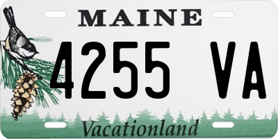 ME license plate 4255VA