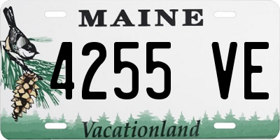 ME license plate 4255VE