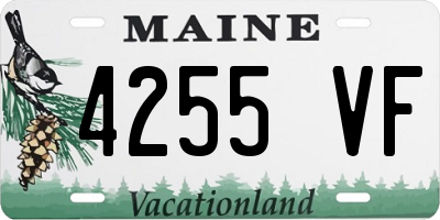 ME license plate 4255VF