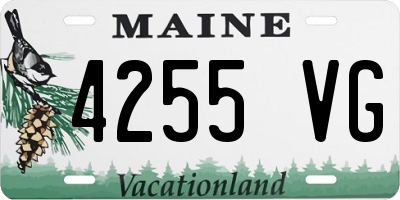 ME license plate 4255VG