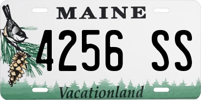 ME license plate 4256SS