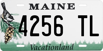 ME license plate 4256TL