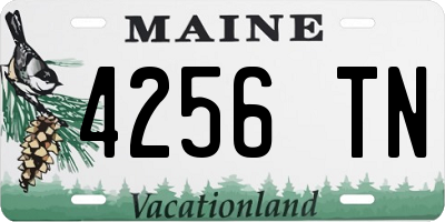ME license plate 4256TN