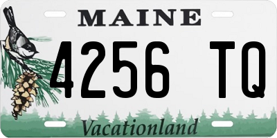 ME license plate 4256TQ