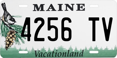 ME license plate 4256TV