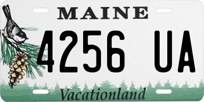 ME license plate 4256UA