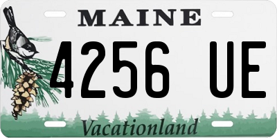 ME license plate 4256UE