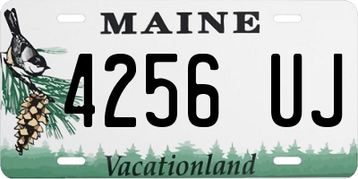 ME license plate 4256UJ
