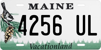 ME license plate 4256UL