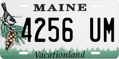 ME license plate 4256UM
