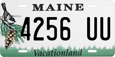 ME license plate 4256UU