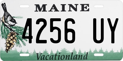 ME license plate 4256UY