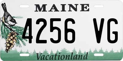 ME license plate 4256VG