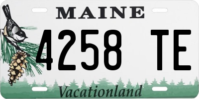 ME license plate 4258TE