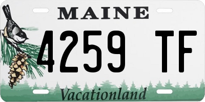 ME license plate 4259TF