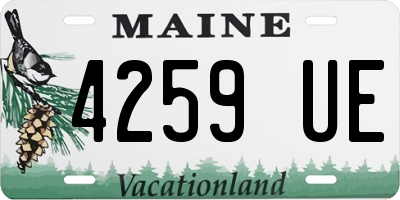 ME license plate 4259UE