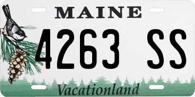 ME license plate 4263SS