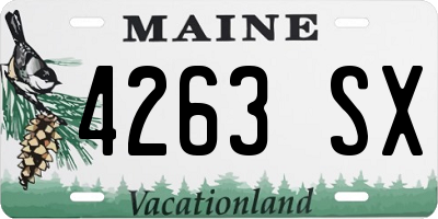 ME license plate 4263SX