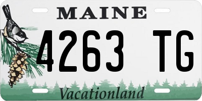 ME license plate 4263TG