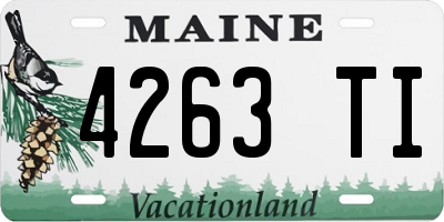 ME license plate 4263TI